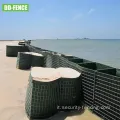 Barriera di gabion a maglie saldata galvanizzata per il muro di difesa